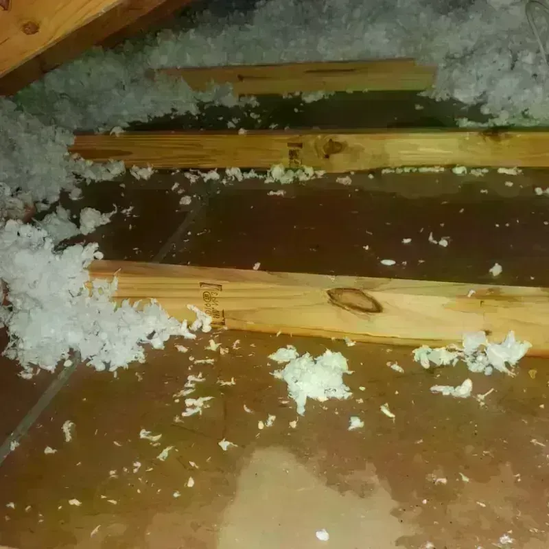 Attic Water Damage in Mill Plain, WA